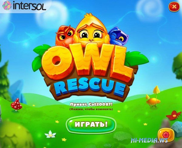 Owl Rescue (2017)