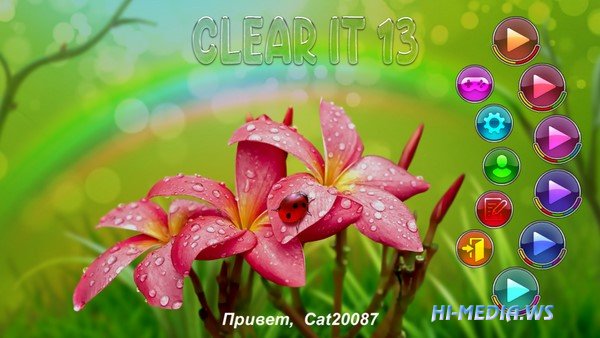 Clear It 13 (2021)