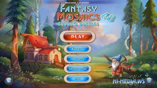 Fantasy Mosaics 48: Gnomes Puzzles (2021)